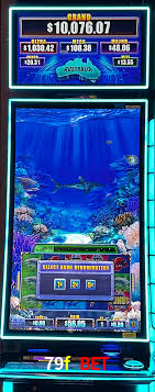 Bônus de Boas-vindas 79f bet